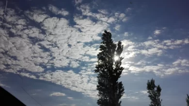 miércoles